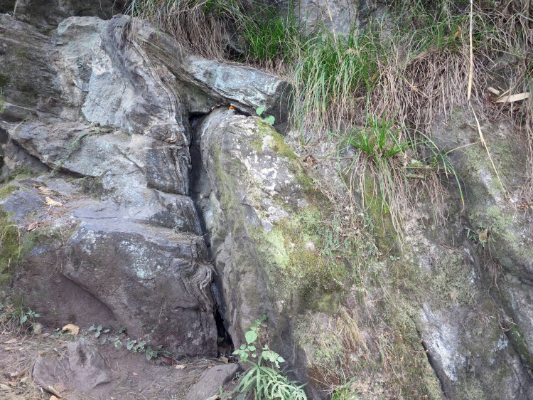 PS-montagne-qui-enfante