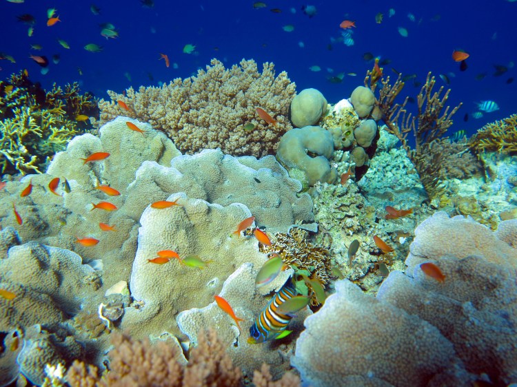 viet-phu-quoc-iles-sud-phu-quoc-5