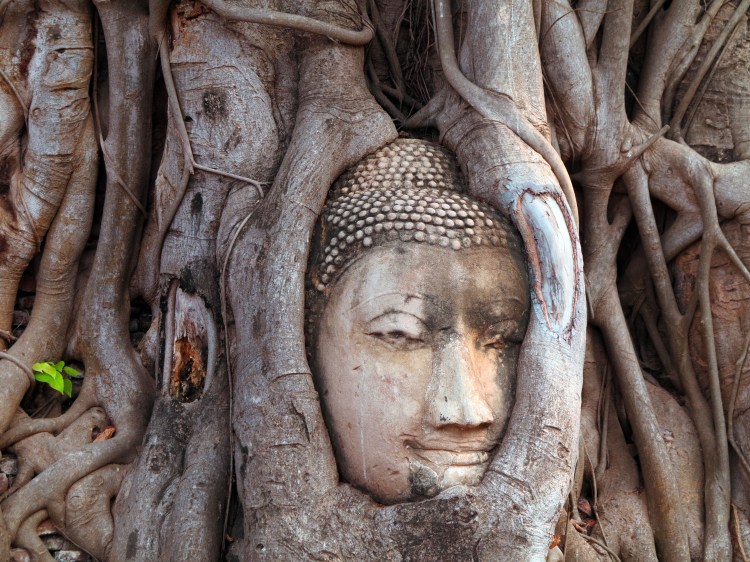 thai-ayu-wat-mahathat-5