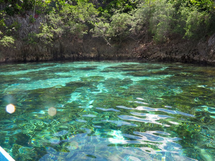 indo-raja-snorkling-piscine