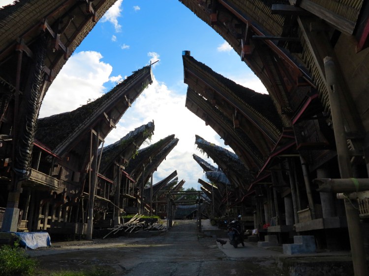 indo-sulawesi-tanah-toraja-maison-2