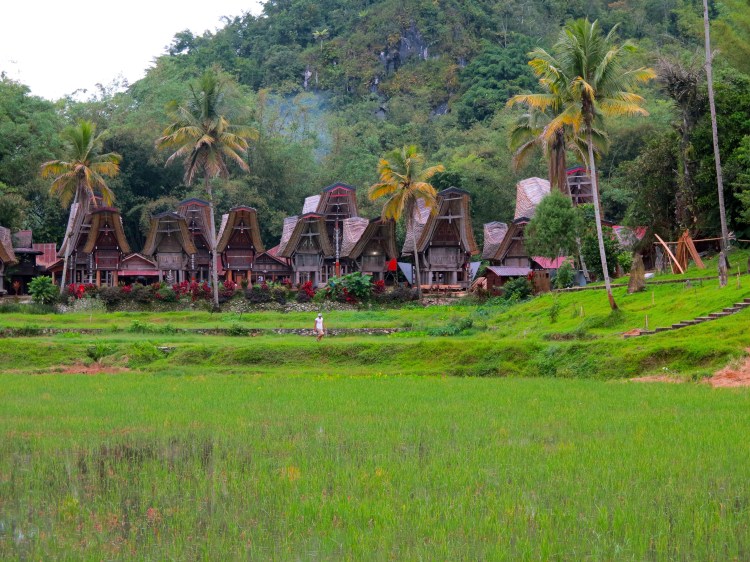 indo-sulawesi-tanah-toraja-village-1