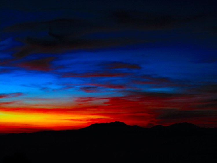 indo-java-lever-soleil-bromo-1