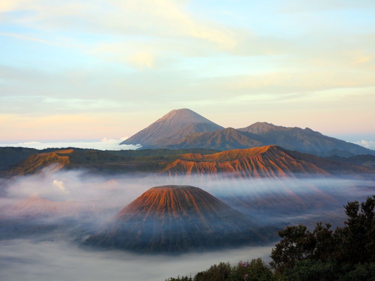 indo-java-lever-soleil-bromo-3